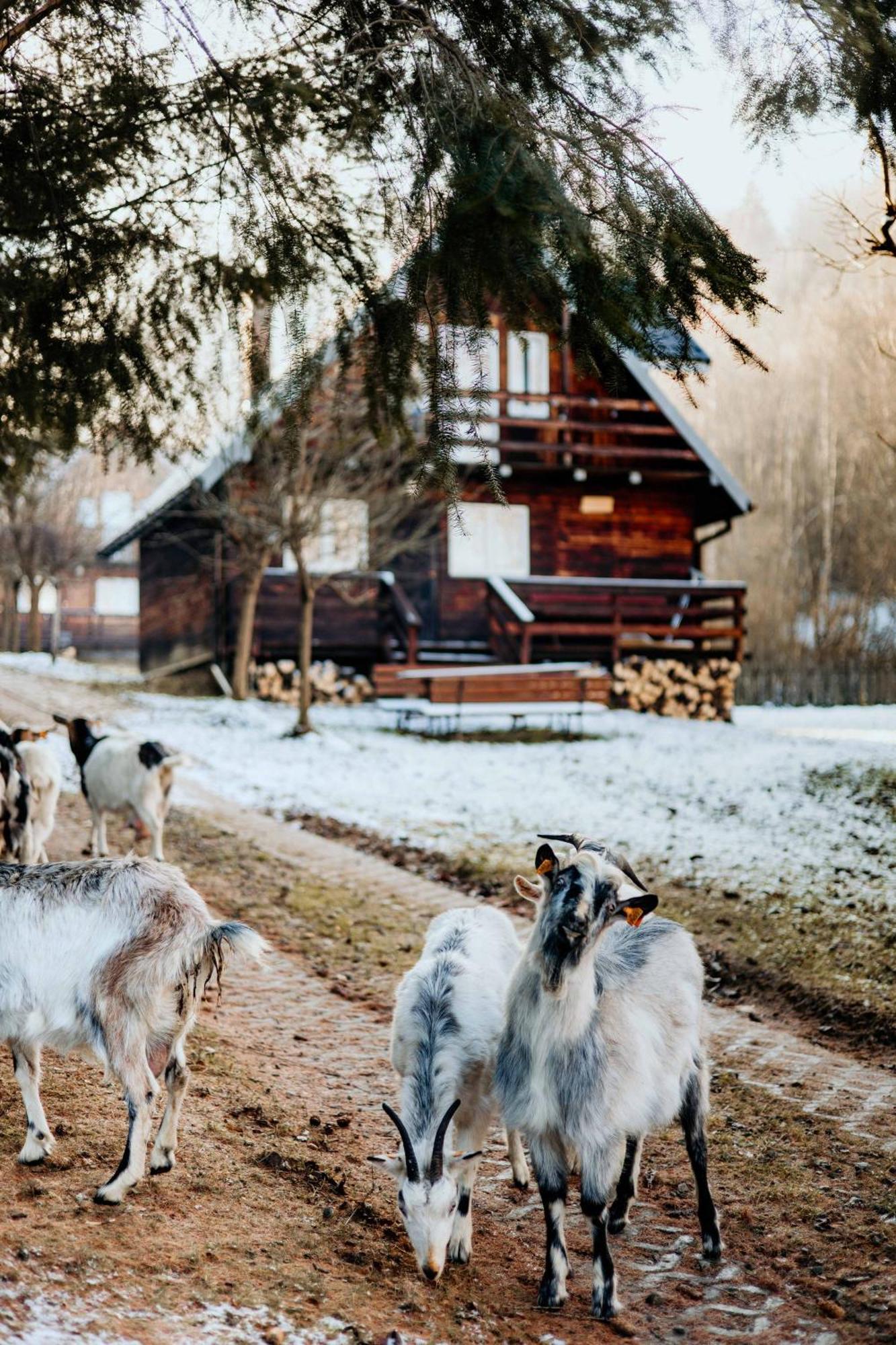 Chalet U Serowarki
